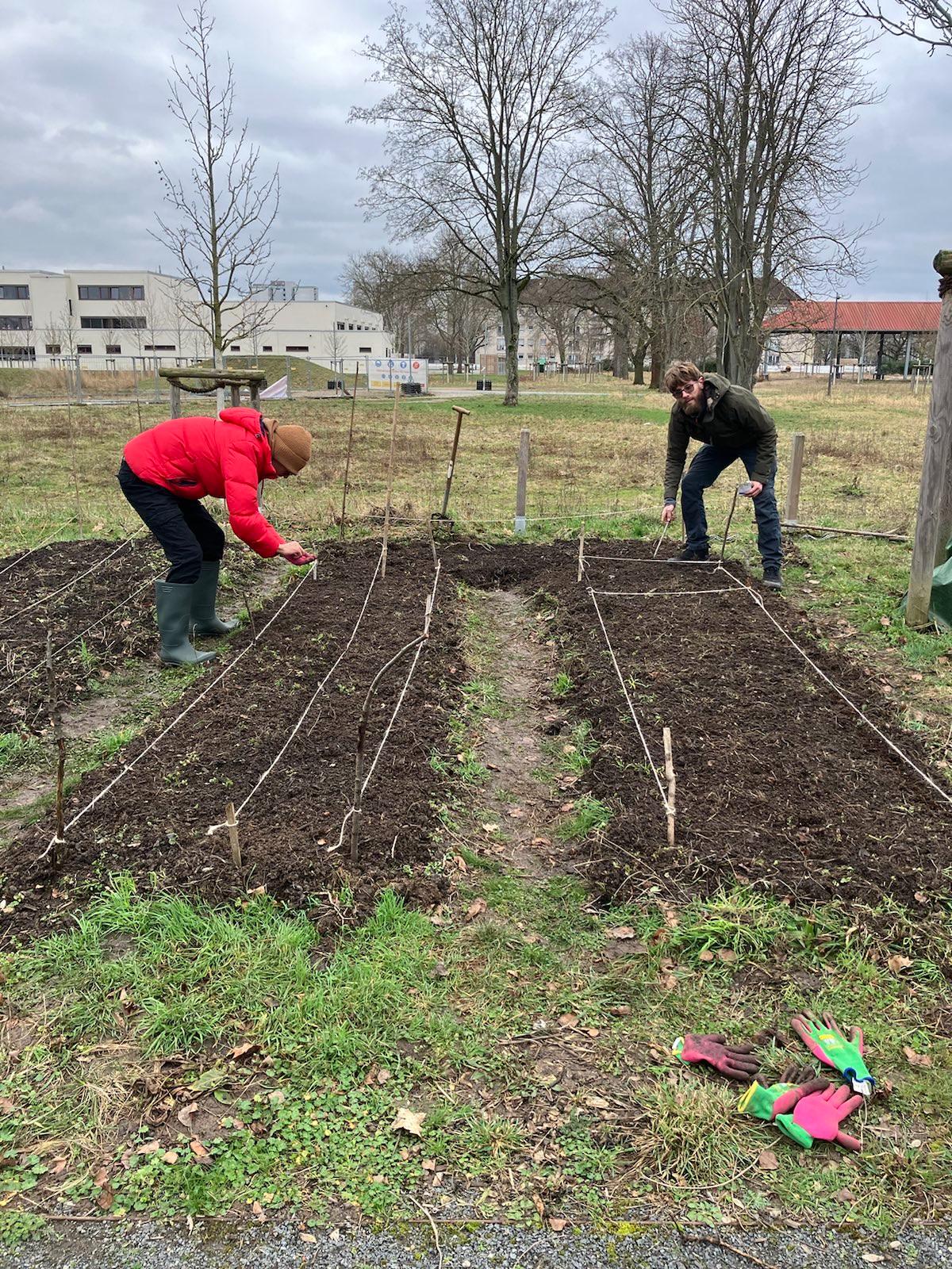 Vegetable Garden 01