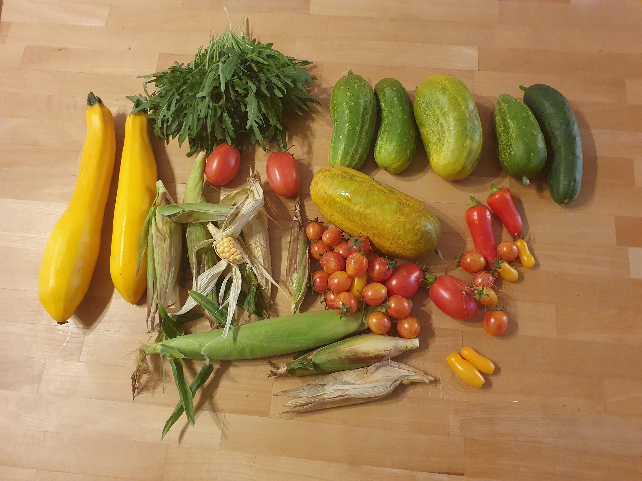 Vegetable Garden 06
